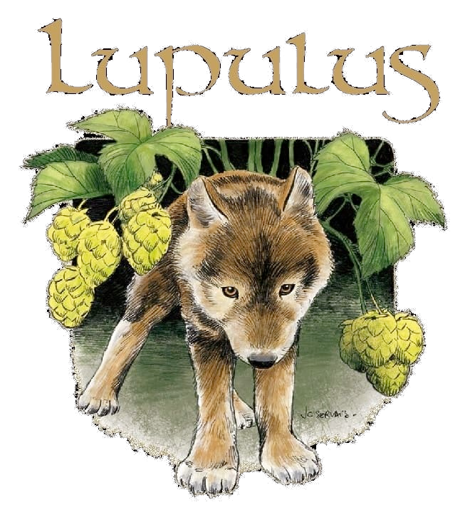 Bière Lupulus